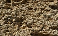 Brick wall of yellow shell rock. Closeup of shellstone texture Royalty Free Stock Photo