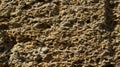 Brick wall of yellow shell rock. Closeup of shellstone texture Royalty Free Stock Photo