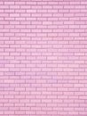 Brick walls Royalty Free Stock Photo