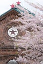 A brick warehouse with a sakura Royalty Free Stock Photo