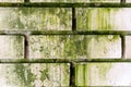 Brick white wall spoiled with a fungus. Abstract background.