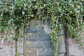 Bricked over doorway, with ivy. Royalty Free Stock Photo