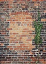 Bricked up Window