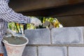 Bricklayer putting down another row of bricks in site. Royalty Free Stock Photo
