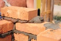 Bricklayer worker installing red blocks and caulking brick masonry joints exterior brick house wall with trowel putty knife Royalty Free Stock Photo