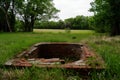 bricklined well in a grassy clearing
