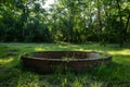 bricklined well in a grassy clearing