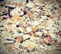 Bricks and debris of a house Royalty Free Stock Photo