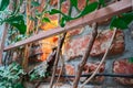 Bricks with Greenery and wooden framing Royalty Free Stock Photo