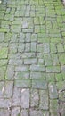 Bricks masonry pathway in the park Royalty Free Stock Photo