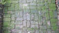 Bricks masonry pathway in the park Royalty Free Stock Photo