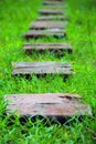 Bricks pathways on the grass to avoid muds in the rainy season