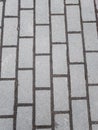 Bricks, paving slabs, wet asphalt. background texture