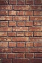 Bricks texture Royalty Free Stock Photo