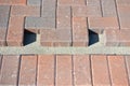 Bricks in unfinished sidewalk Royalty Free Stock Photo