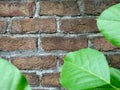 Bricks wall texture background photo and vector Royalty Free Stock Photo