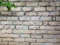 Bricks wall texture background photo and vector For stock photos Royalty Free Stock Photo