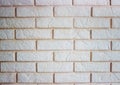 Brickwork with plaster tiles Royalty Free Stock Photo