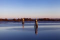 Bricole for boats on the sea, lagoon of Marano Lagunare, udine, friuli venezia giulia, italy. Royalty Free Stock Photo