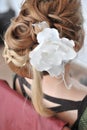 Bridal Accesories