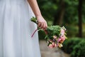 Boquet of rose flowers in bride hand Royalty Free Stock Photo