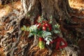 Bridal bouquet of burgundy peonies, red roses, eucalyptus tree branches, eryngium, baby breath, celosia and red ribbons