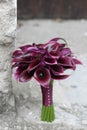 Bridal bouquet of darck callas. Purple wedding bouquet. Black calla lily. Royalty Free Stock Photo