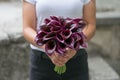 Bridal bouquet of darck callas. Purple wedding bouquet. Black calla lily Royalty Free Stock Photo