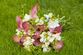 Bridal bouquet laying on green grass. Beautiful romantic white and magenta wedding flowers with copy space and blurred background Royalty Free Stock Photo