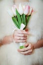 Bridal bouquet with pink tulips in the hands Royalty Free Stock Photo