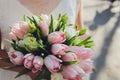 Bridal bouquet with pink tulips in the hands of the bride. Royalty Free Stock Photo