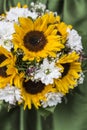 Bridal bouquet of sunflowers,