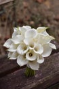 Bridal bouquet of white calla lily. Wedding minimalist flowers. Wedding bouquet. Royalty Free Stock Photo