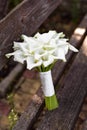 Bridal bouquet of white calla lily. Wedding minimalist flowers. Wedding bouquet Royalty Free Stock Photo