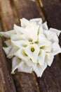 Bridal bouquet of white calla lily. Wedding minimalist flowers. Wedding bouquet Royalty Free Stock Photo