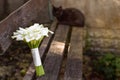 Bridal bouquet of white calla lily. Wedding minimalist flowers. Wedding bouquet Royalty Free Stock Photo