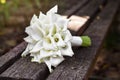 Bridal bouquet of white calla lily. Wedding minimalist flowers. Wedding bouquet Royalty Free Stock Photo