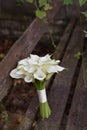 Bridal bouquet of white calla lily. Wedding minimalist flowers. Wedding bouquet. Royalty Free Stock Photo