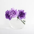 Bridal bouquet of lilac carnations in a round glass vase