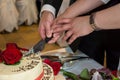 Bridal cake Royalty Free Stock Photo