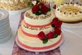 Bridal cake Royalty Free Stock Photo