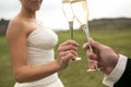 Bridal couple clink glasses of champagne