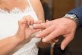 A bridal couple exchanges the wedding rings with each other Royalty Free Stock Photo