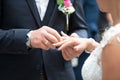 A bridal couple exchanges the wedding rings with each other Royalty Free Stock Photo