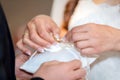 A bridal couple exchanges the wedding rings with each other Royalty Free Stock Photo