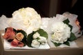 Bridal Image Royalty Free Stock Photo