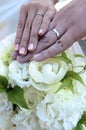 Bridal Image Royalty Free Stock Photo