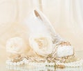 Bridal rose with wedding shoe and beads Royalty Free Stock Photo