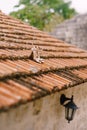 Bridal sandals on the old roof of the building with a black street hanging lamp. Royalty Free Stock Photo