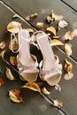 Bridal sandals with sequins on wooden boards with yellow leaves in autumn. Royalty Free Stock Photo